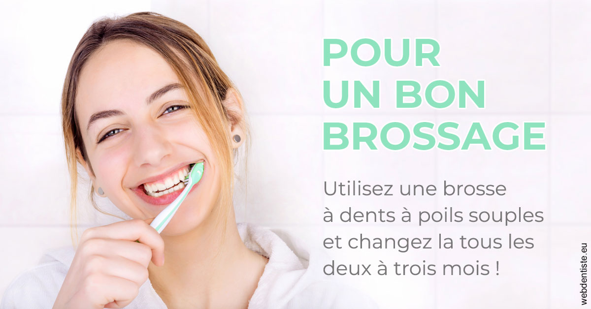 https://www.orthodontiste-demeure.com/Pour un bon brossage 2