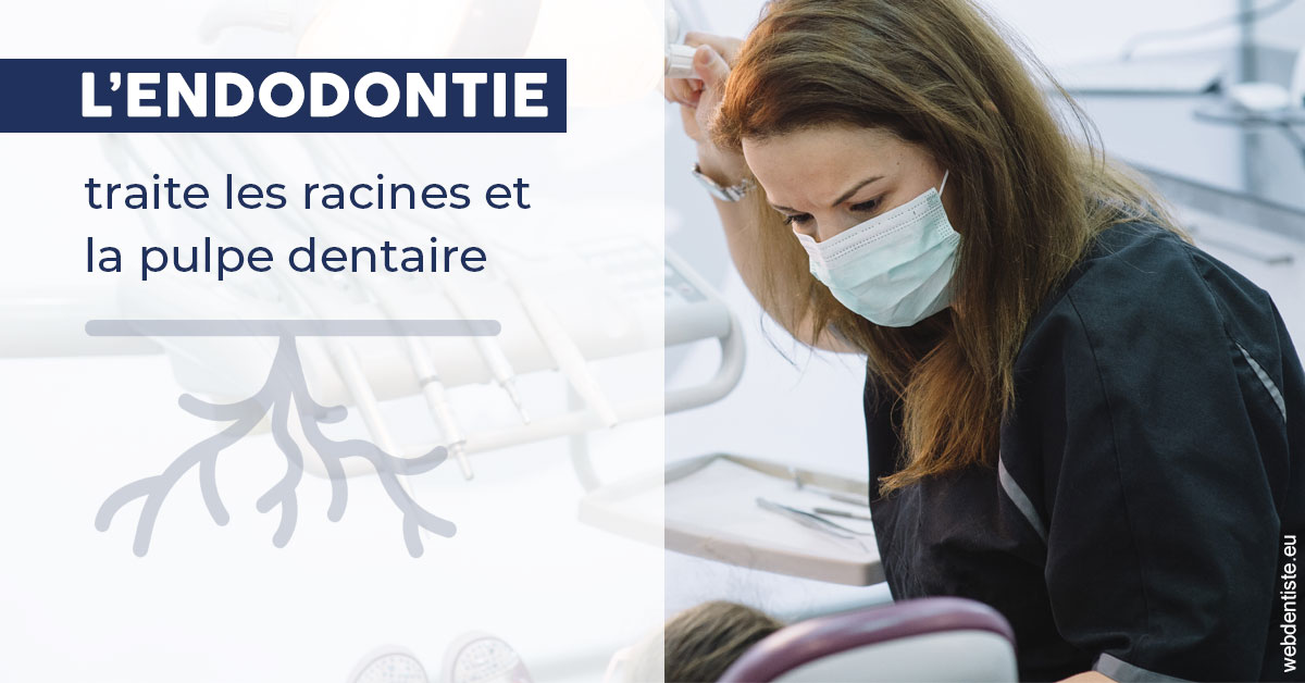 https://www.orthodontiste-demeure.com/L'endodontie 1