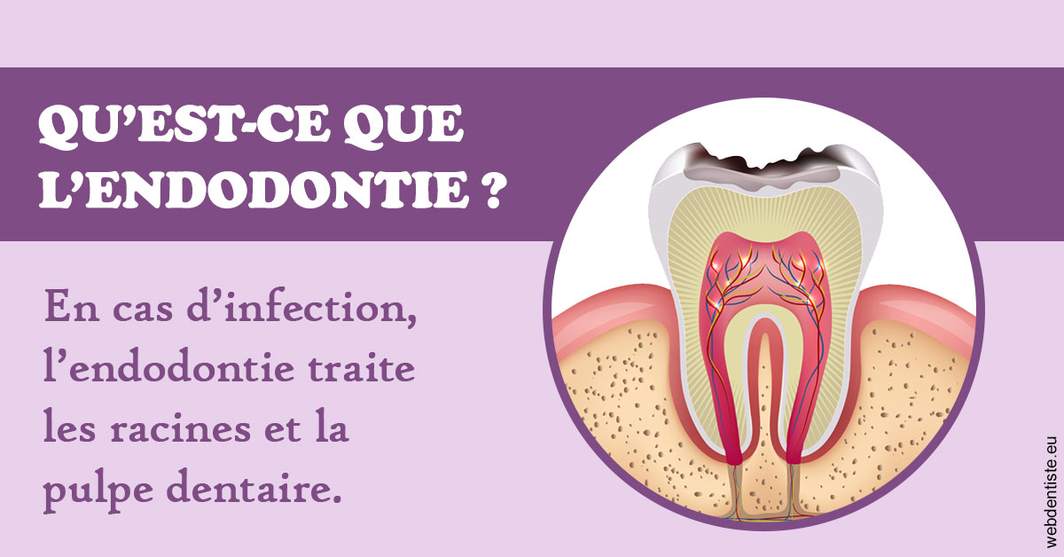 https://www.orthodontiste-demeure.com/2024 T1 - Endodontie 02