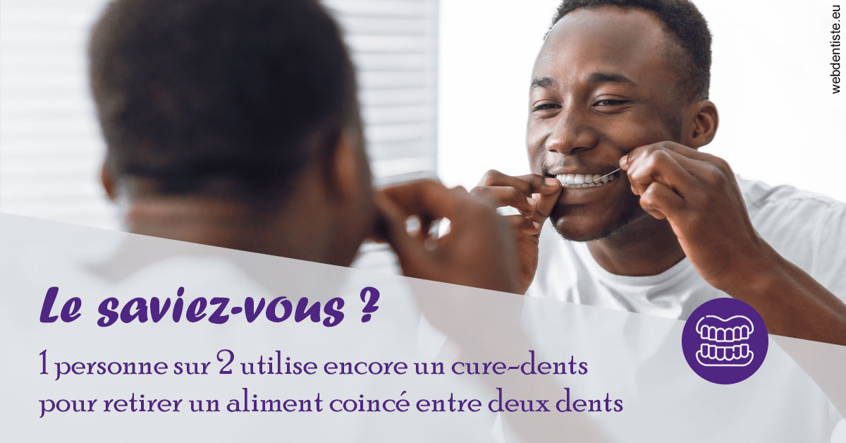 https://www.orthodontiste-demeure.com/Cure-dents 2