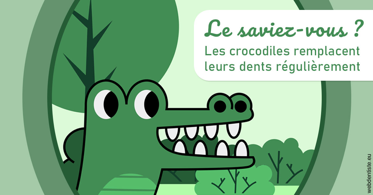 https://www.orthodontiste-demeure.com/Crocodiles 2