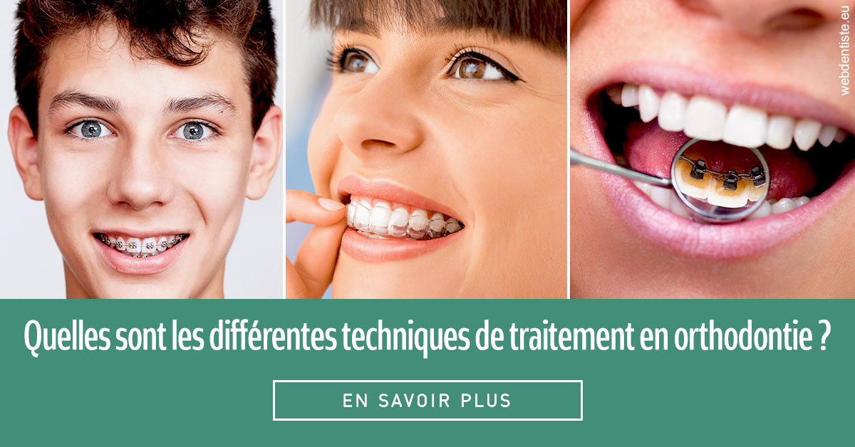 https://www.orthodontiste-demeure.com/Les différentes techniques de traitement 2