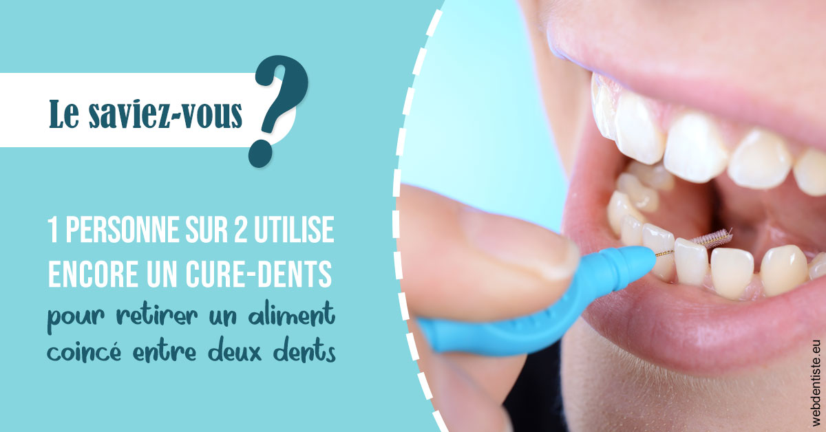 https://www.orthodontiste-demeure.com/Cure-dents 1