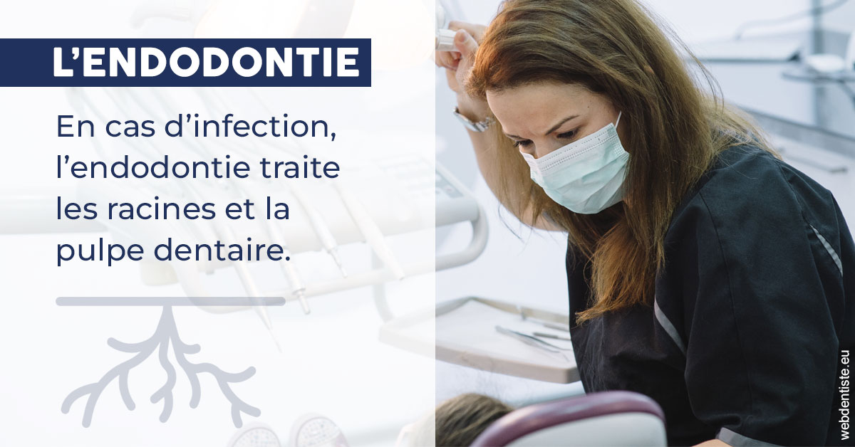 https://www.orthodontiste-demeure.com/L'endodontie 1