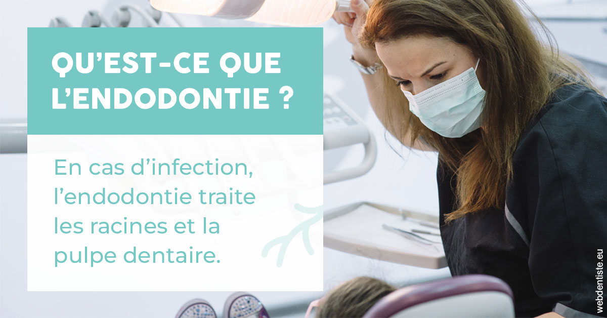 https://www.orthodontiste-demeure.com/2024 T1 - Endodontie 01