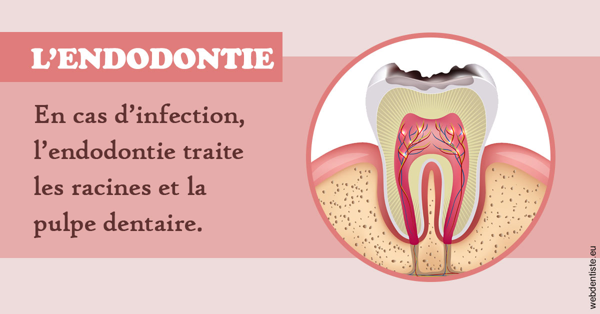 https://www.orthodontiste-demeure.com/L'endodontie 2